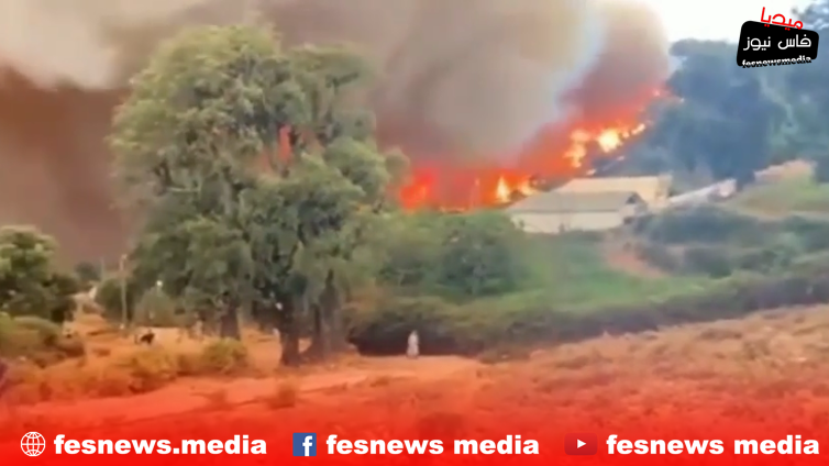 2024 Wildfires Ravage Forests in Fès-Meknès Region: Taza, Taounate, Sefrou, and Ifrane Among the Hardest Hit