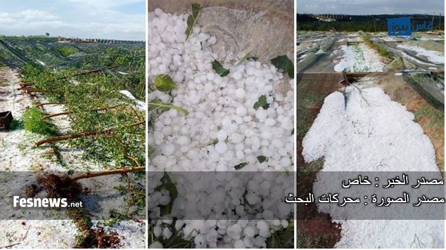 تضرر الفلاحين مادياً في جهة فاس مكناس جراء التساقطات الرعدية.. يَجرُّ وزير الفلاحة بحكومة أخنوش للمسائلة