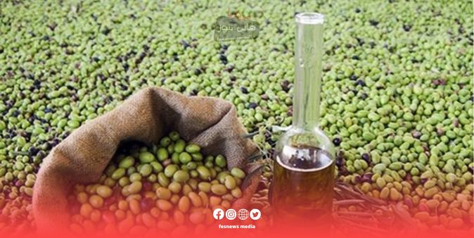 توقعات بإرتفاع أسعار زيت الزيتون نتيجة قلة الأمطار والجفاف