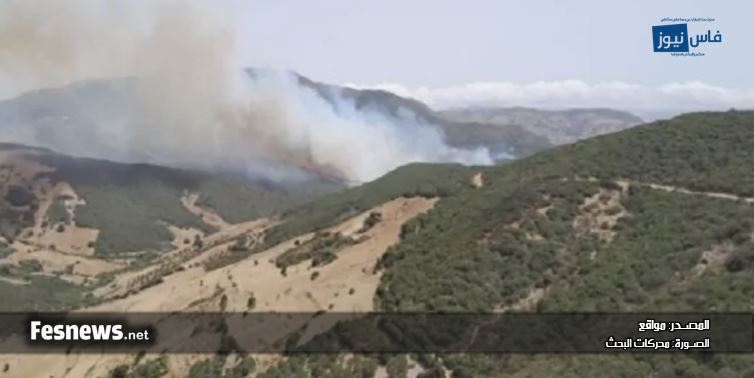 حريق ضخم يشتعل في غابة “عين الحصن” بإقليم تطوان.. والجهود مضنية للسيطرة على النيران