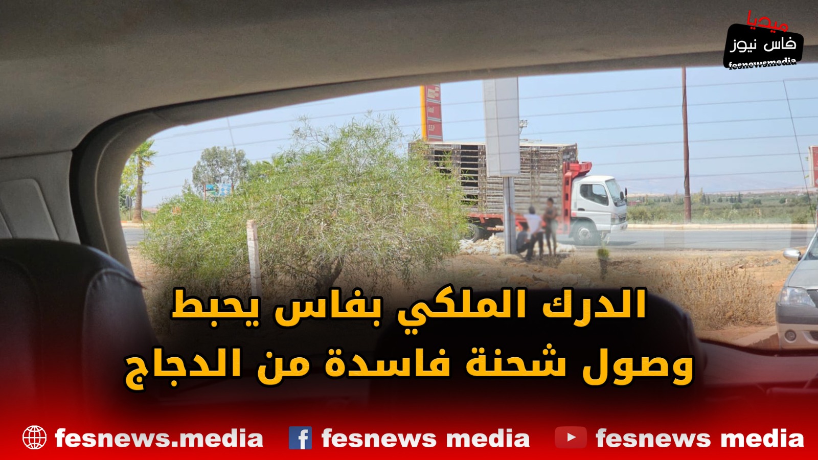 عاجل.. الدرك الملكي بفاس يحبط وصول شحنة فاسدة من الدجاج كانت في طريقها للمطاعم