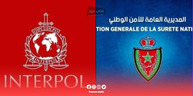 Casablanca Police Arrest Norwegian National Wanted Internationally in Multi-Million Tax Evasion Case… Key Seized Items Revealed
