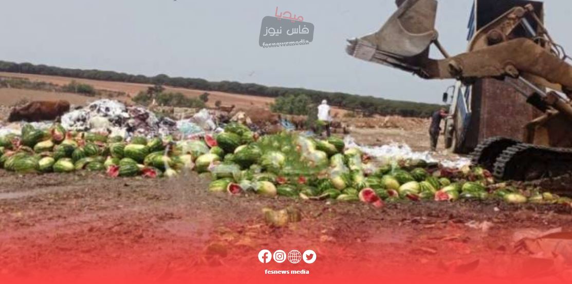 السلطات في العرائش تكشف عن تدمير كميات من البطيخ الأحمر غير الصالح للاستهلاك