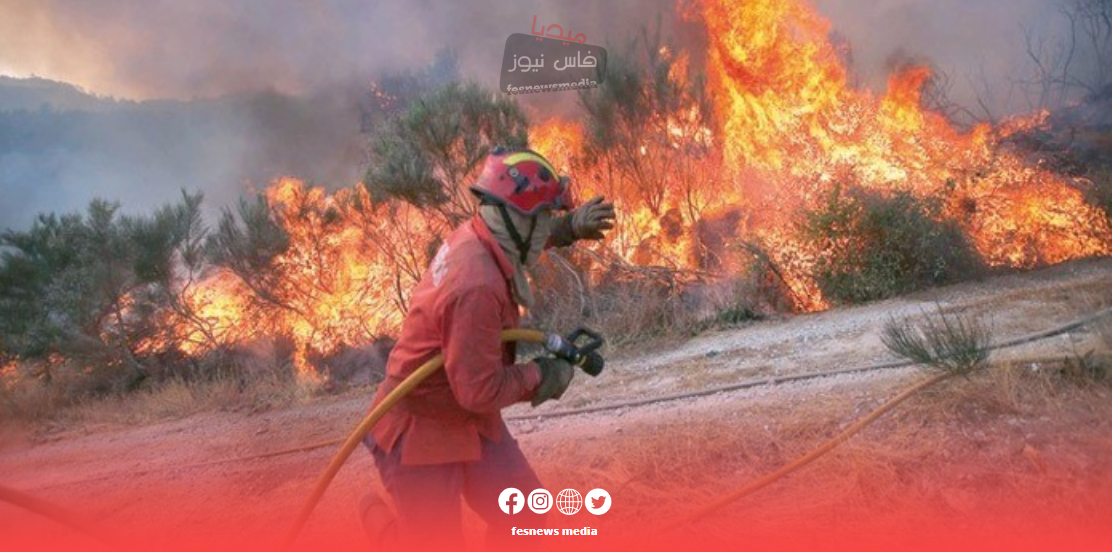 إقليم تازة: 600 هكتار من الغابات تتأثر بالنيران في غابة المغراوة