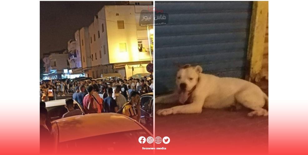 في تدخل أمني هوليودي .. المصالح الأمنية بمكناس توقف جانح مْحَيَّحْ عرّض المواطنين والأمن لخطر جدّي بالسلاح وبكلب شرس