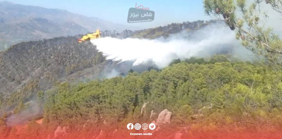 السيطرة على الحريق الغابوي بجبل لقرع في إقليم تاونات: جهود بشرية ومؤسساتية تنجح في الحفاظ على البيئة