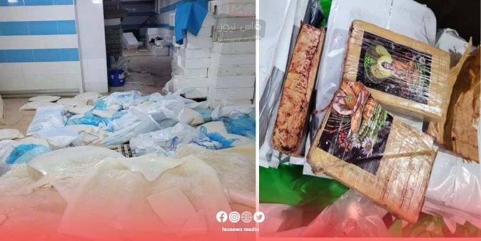 وردنا اللحظة : ضبط كمية كبيرة من الكوكايين داخل شحنة أسماك مجمدة بأحد المستودعات لتصدير الأسماك إلى أوروبا .. معطيات مثيرة +(صور)