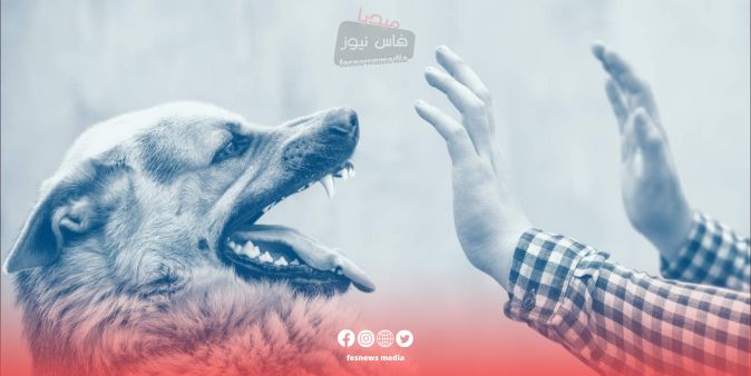 جهة فاس مكناس تُخلد اليوم العالمي لداء السعار.. حصص توعوية و تحسيسية لفائدة الشباب
