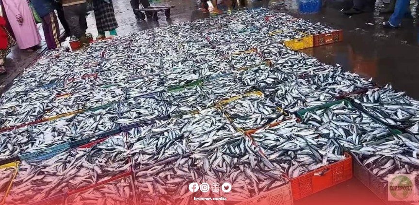 The Competition Council opens an investigation into suspicions of price manipulation and examines the competitive performance of the sardine supply market