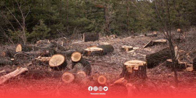 Directorate of Hamouchi and the National Agency for Water and Forests Organize a Seminar on Combating Serious Crimes in the Forestry Sector