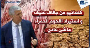 Minister of Agriculture in the House of Councilors Unveils Measures and Preparations Planned for Eid al-Adha + (Video)