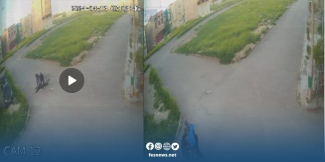 Video Footage Documents Theft Crimes in Ennaber Neighborhood of Fes, Mobilizing Anti-Gang Unit