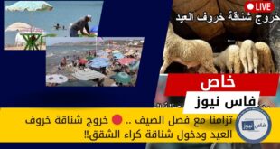 As we enter the summer season, social media users denounce the exit of the Eid sheep and the entry of the apartment rentals