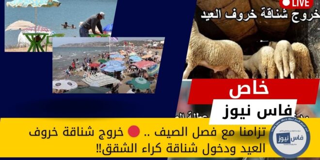 As we enter the summer season, social media users denounce the exit of the Eid sheep and the entry of the apartment rentals