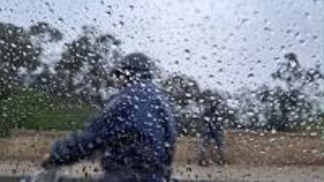 Morocco Records Significant Rainfall Across Multiple Regions