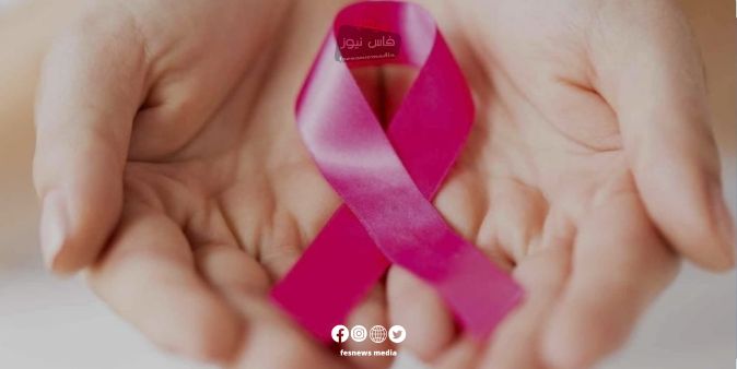 Meknes: Global Study Day on Cancer Prevention and Palliative Care Treatments