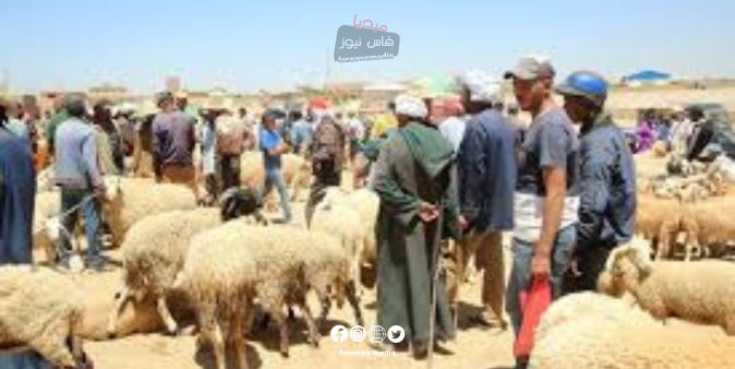 Rumor of “Fines for Slaughtering Sacrificial Animals” Sparks Controversy… No Legal Basis for Circulating Claims