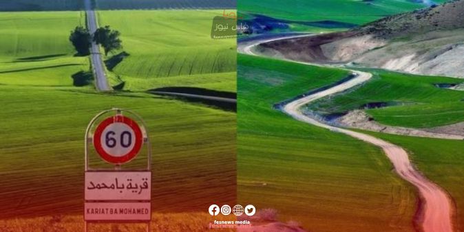 Heavy Rainfall Revives Agricultural Hopes in Bamouhammad, Taounate