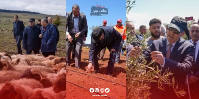 Moroccan Minister of Agriculture Visits Meknes, El Hajeb, and Ifrane to Assess Agricultural Season Impact