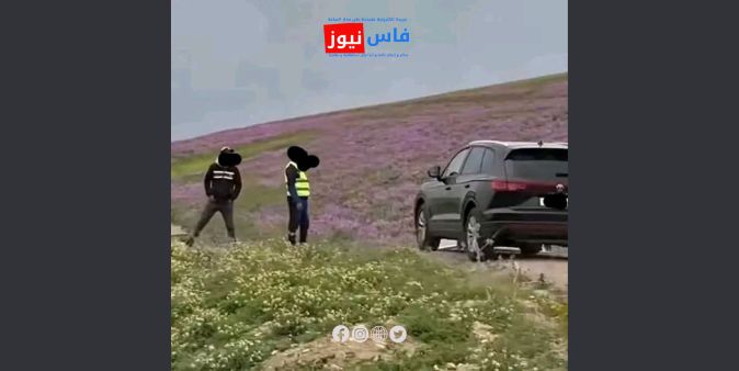 Illegal Parking Attendants Exploit Post-Rain Green Space Visitors in Moulay Yacoub Province