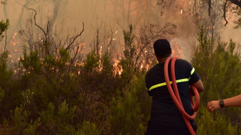 Taounate: Proactive Measures to Combat Forest Fires in Summer 2025, Reviewing the 2024 Season’s Outcomes