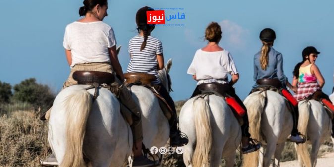 Ifrane Hosts First Equestrian and Ecotourism Fair