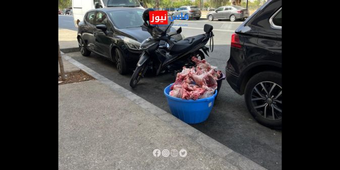 From Scientific Capital to Health Safety Crisis: The Meat Incident in Fes Highlights the Absence of Distribution Chain Monitoring