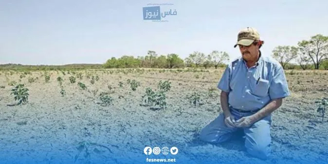 Moulay Yacoub : la province tourne la page des années de sécheresse… une saison de récolte prometteuse redonne espoir aux agriculteurs et améliore les perspectives de production
