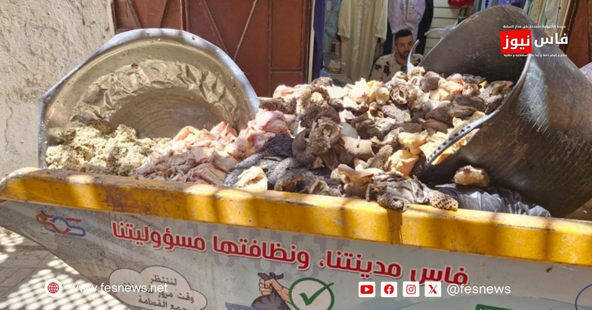 Fès : un atelier clandestin de préparation de « tihal » démantelé, près d’une tonne d’abats et de graisses saisie