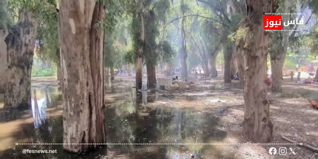 Des démarches en cours pour résoudre le problème de pollution et des eaux stagnantes dans la forêt d’Aïn Chkef à Moulay Yacoub