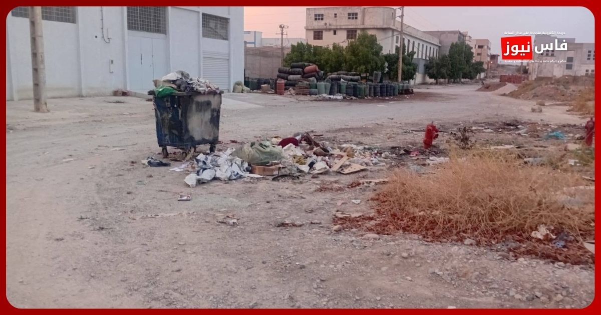 Taza.. The Industrial Zone Under the Weight of Waste and Environmental Deterioration Amid Local Questions
