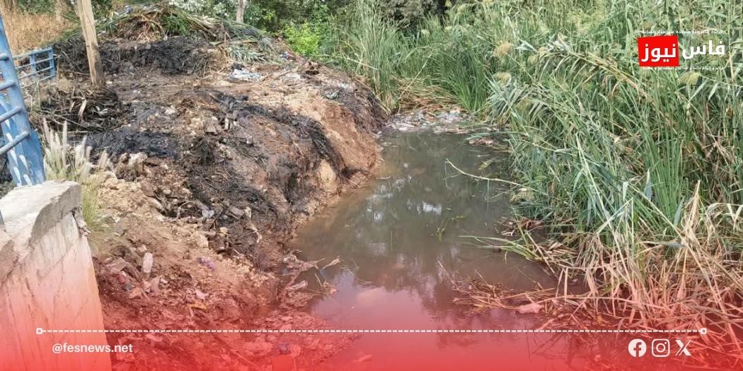 Moulay Yacoub Province: Lack of Quorum Adjourns Ain Chkef Budget Session Amid Calls for Wastewater Upgrades and 40 INDH Projects